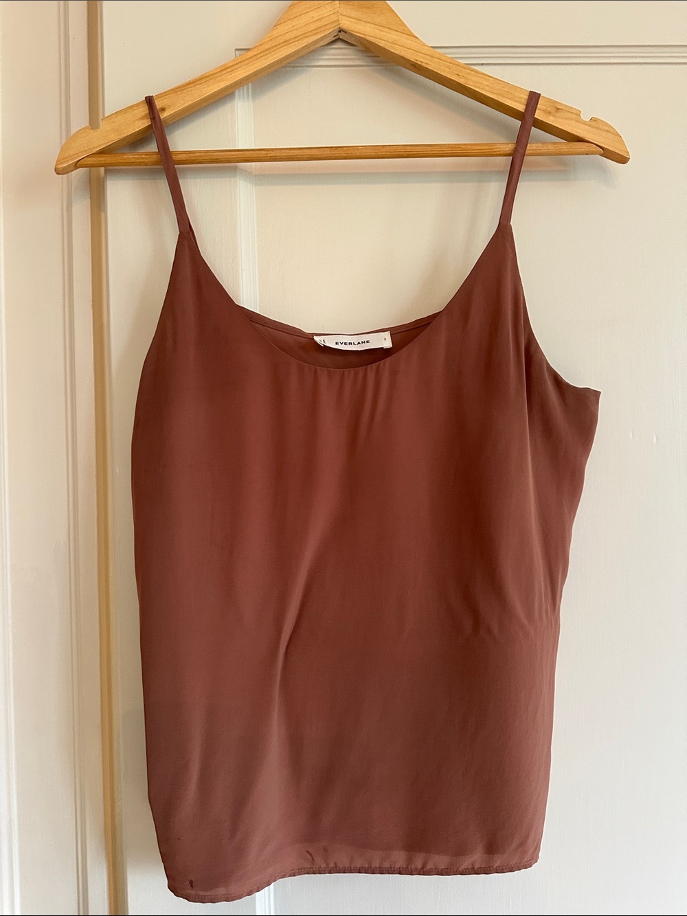 Everlane Women's Rust Brown Silk Cami